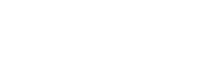 Brain VTA