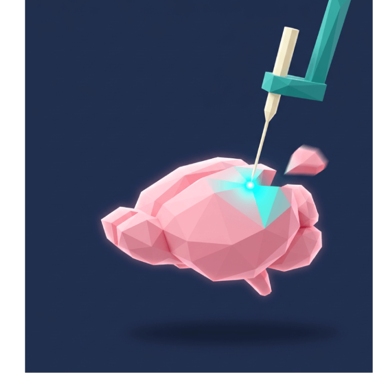 Stereotaxic Injection Field Guide